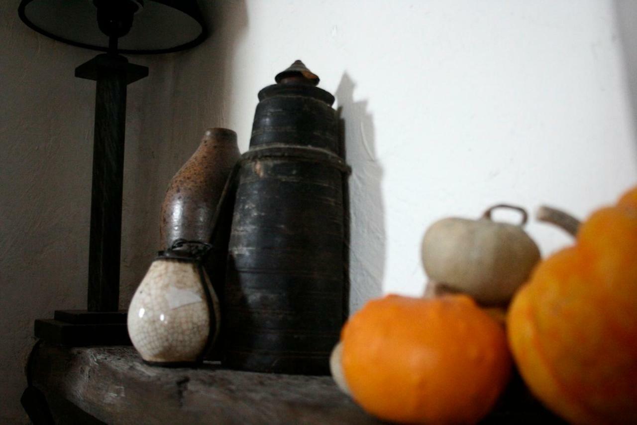 La Maison Aux Bonsais Saint-Paul-de-Vence Kültér fotó
